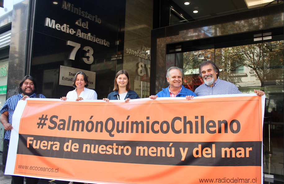 Organizaciones realizan llamado a no consumir «salmón químico» chileno