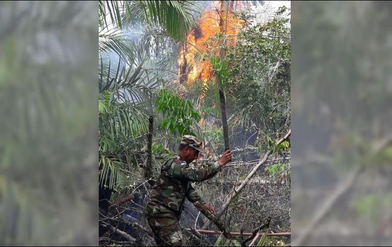 Nicaragua pide ayuda a Rusia para afrontar incendio en reserva biológica