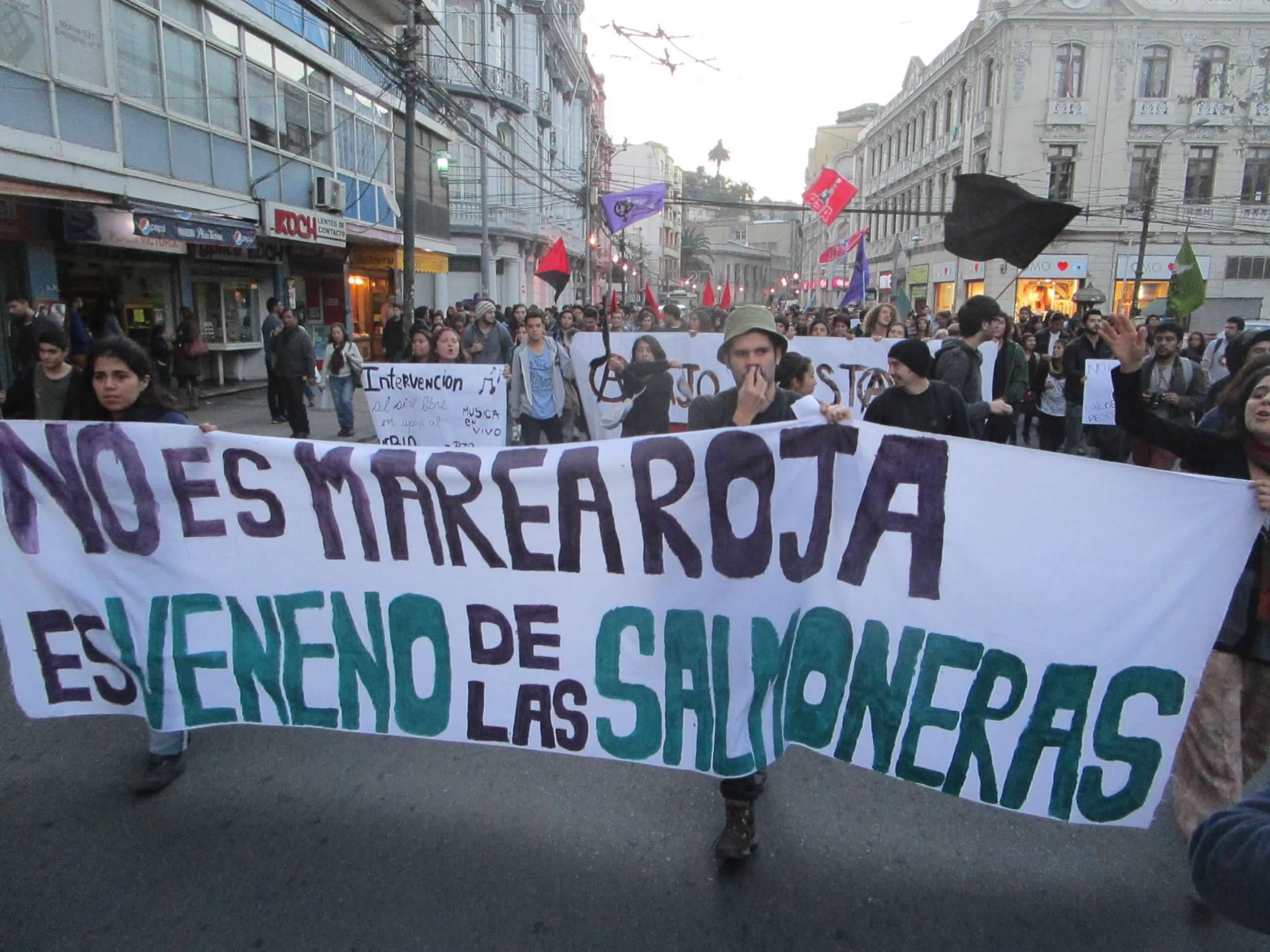 Trabajadores del mar de Chiloé piden el cese de las concesiones acuícolas salmoneras en todo Chile