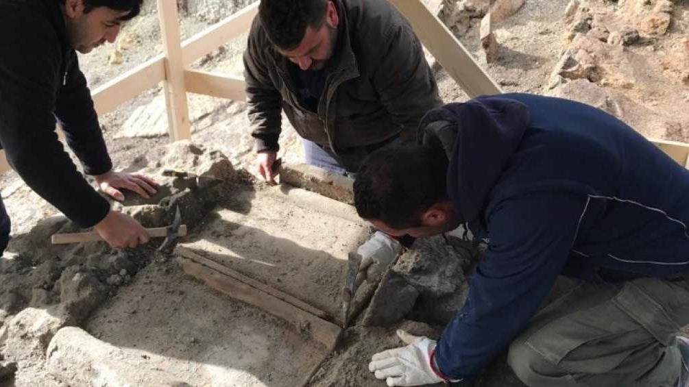 Un caballo es hallado como tesoro arqueológico en Pompeya