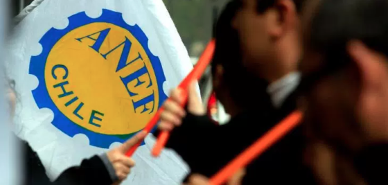 Trabajadores del Estado acuden a tribunales por despidos en el sector público