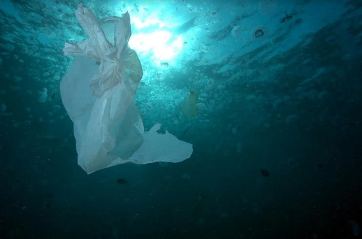 Descubren plástico en el punto más profundo del océano: “Estamos cerca de un punto sin retorno”
