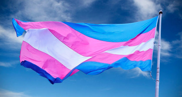 Habla la mujer trans que presentó recurso en Corte Suprema: “Demoró tanto que ya me hice las operaciones”