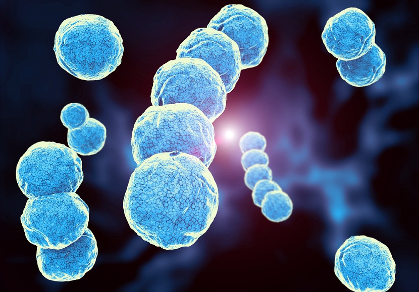 Científicos vinculan la temperatura y densidad poblacional con la resistencia a antibióticos