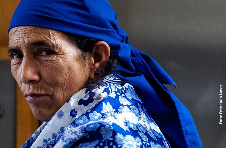 Postulan a la machi Francisca Linconao al Premio Nacional de Derechos Humanos