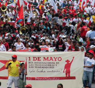parlamentarios