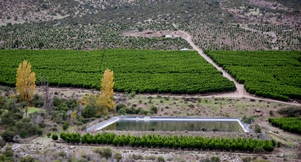 Frente Amplio por crisis hídrica en Petorca: «Modelo extractivo genera el despojo del agua»