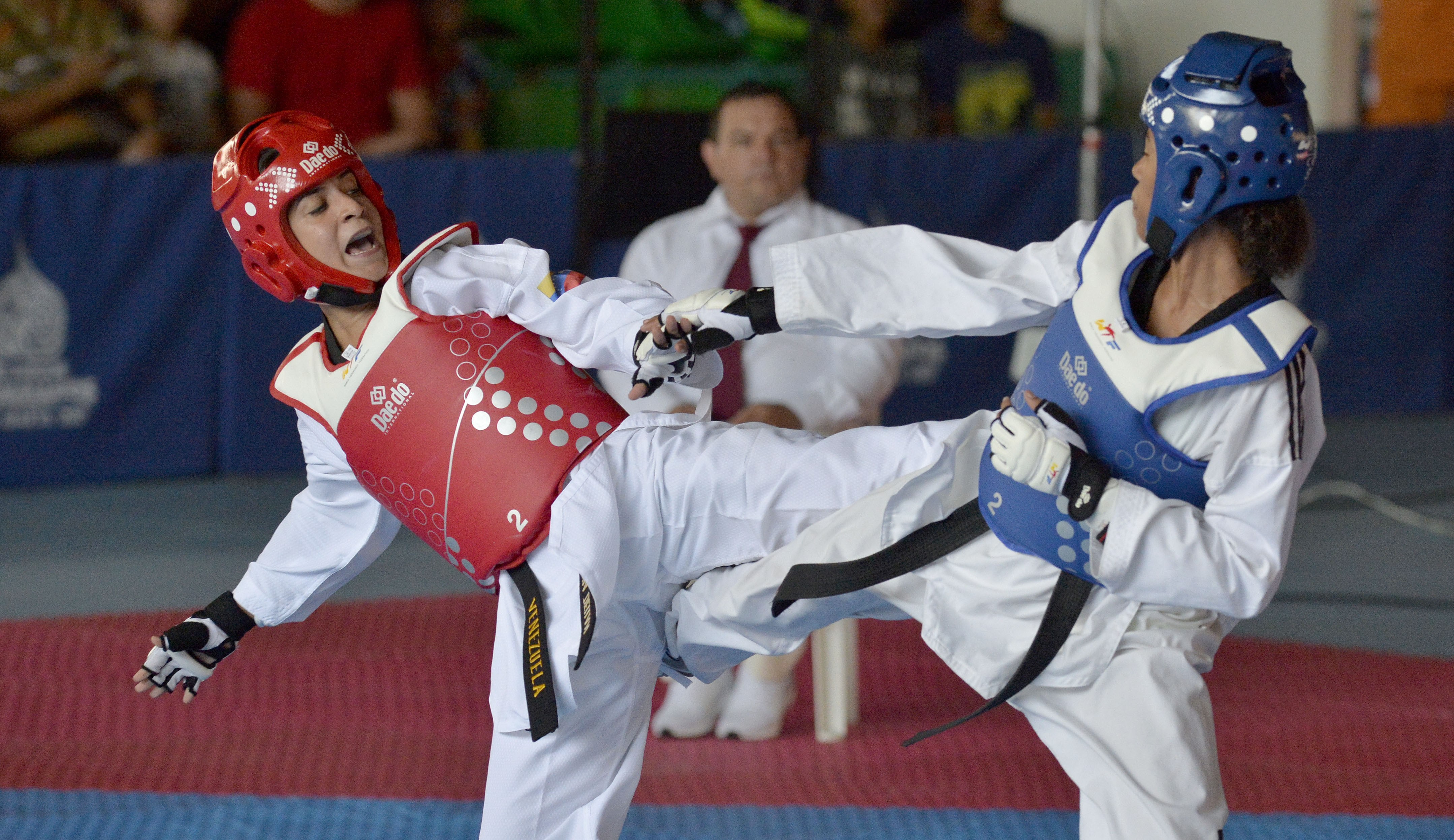 Virginia Dellán taekwondo Venezuela