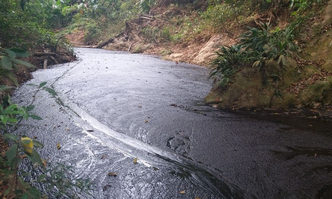 El presidente de Ecopetrol será investigado por daño ambiental en Colombia