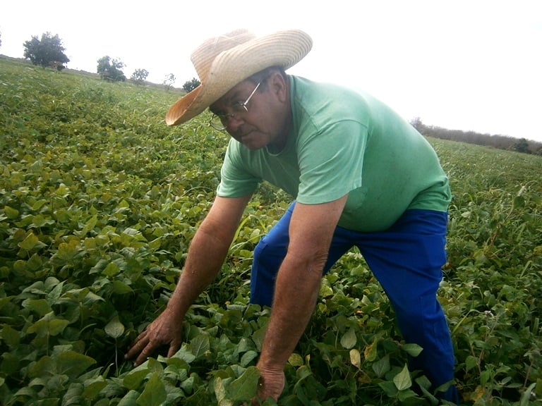 Campesinos festejan la gesta de reforma agraria en Cuba