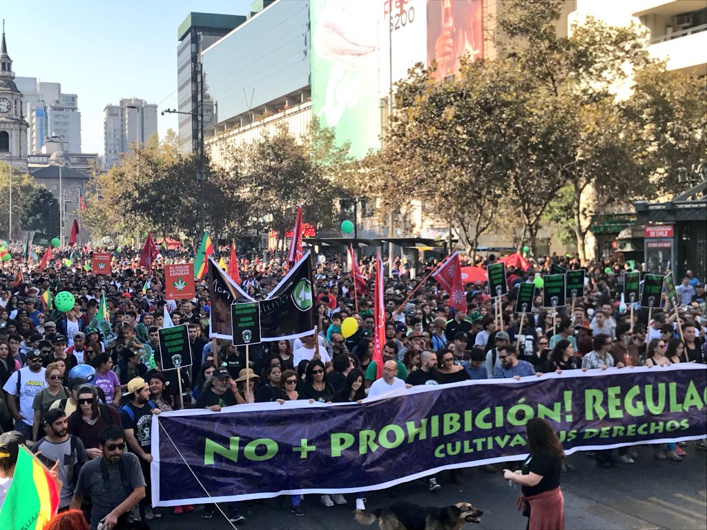 Masiva manifestación por regulación del cultivo y uso del cannabis en Santiago