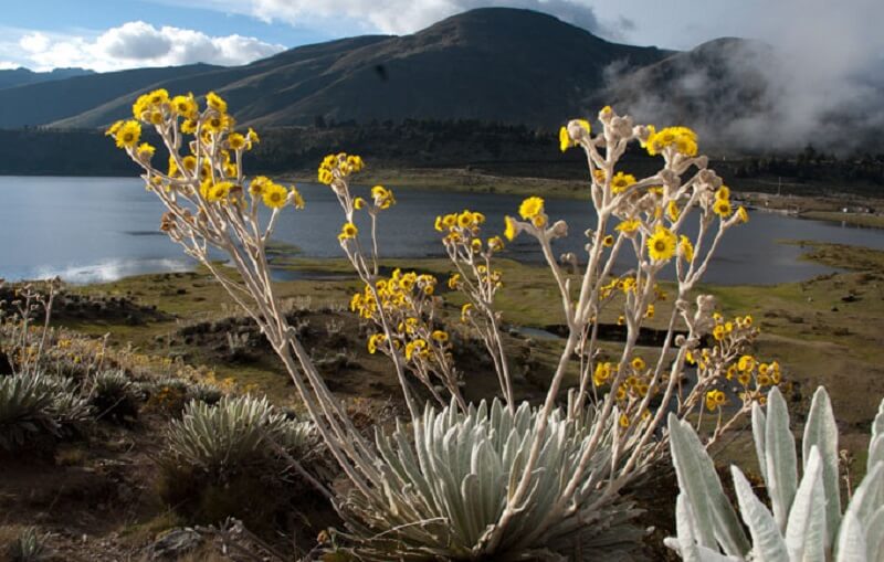 Parque Nacional Sierra Nevada cumple 66 años