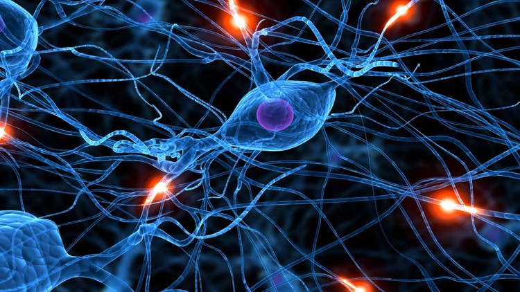 Investigadores rusos mejoran el método de aprendizaje de las redes neuronales