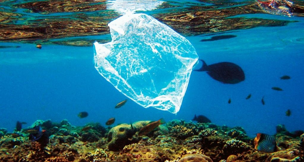 «Prohibir bolsas plásticas no es un ‘capricho'»: Greenpeace por acción de Asipla ante TC