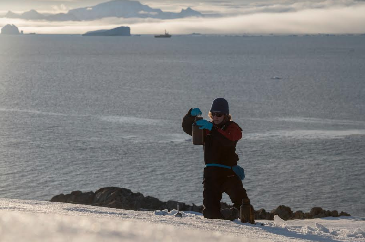 Descubren contaminación de plástico y químicos peligrosos en el Océano Antártico