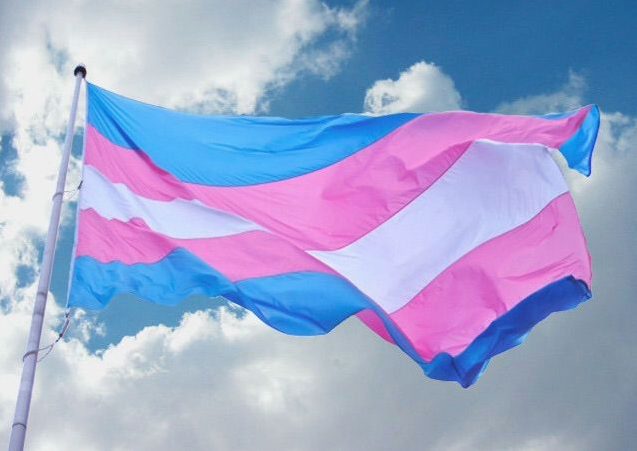 Histórico: OMS saca a la transexualidad de la lista de enfermedades mentales