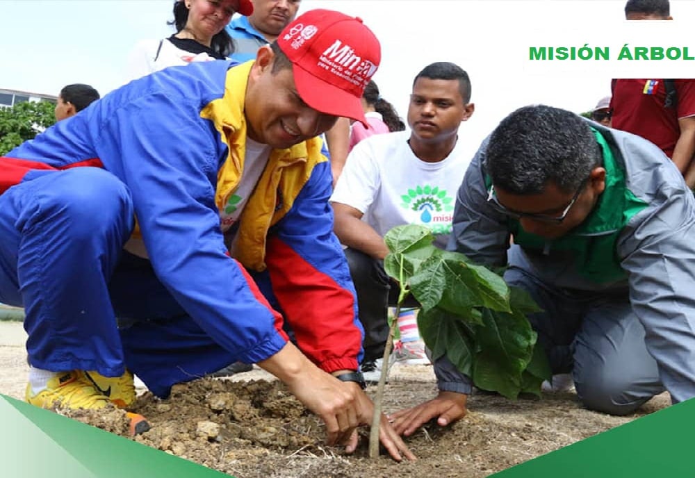 Misión Árbol celebra 12° aniversario con siembra de 240.000 especies