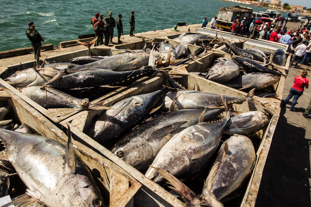 Venezuela revisará su política de exportación de pescados