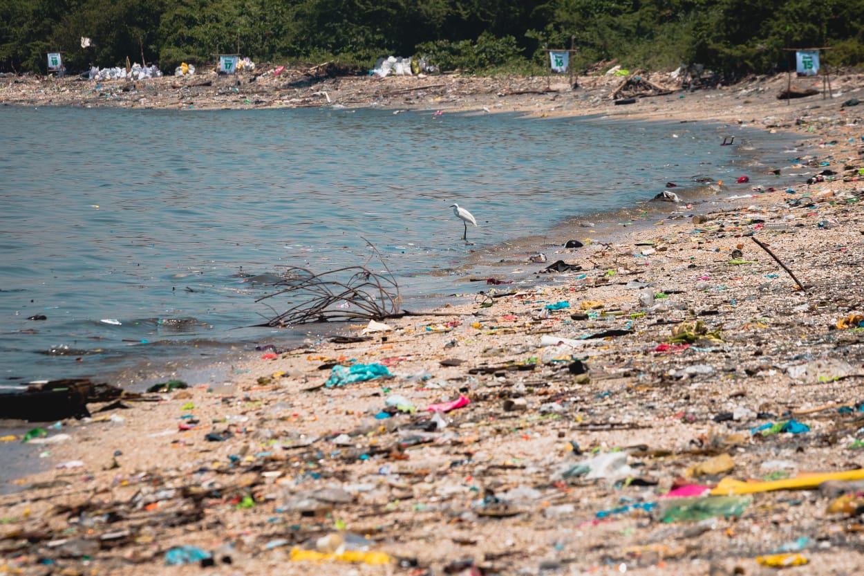Greenpeace en Día Mundial del Medio Ambiente: «La gran batalla es derrotar al plástico»