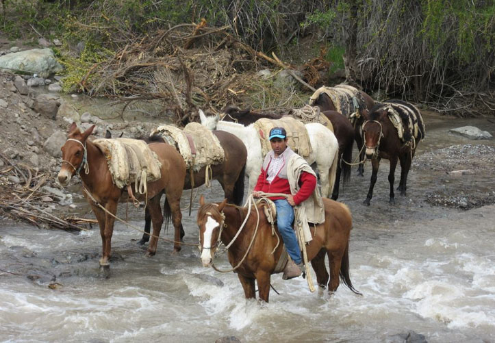 Hombre grabado durante brutal maltrato a caballo es reconocido defensor del rodeo