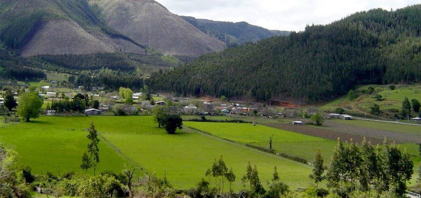 Superintendencia de Medio Ambiente investiga denuncias sobre hidroeléctricas en Valle de Elicura