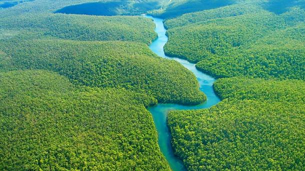 Deforestación en la Amazonia colombiana se duplica
