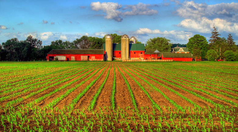 Biocombustibles, enemigos de la seguridad alimentaria del planeta (Parte I)