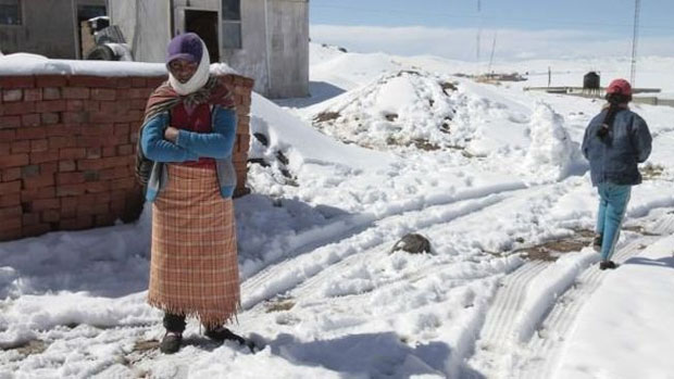 Estado de emergencia en 122 distritos de Perú por heladas