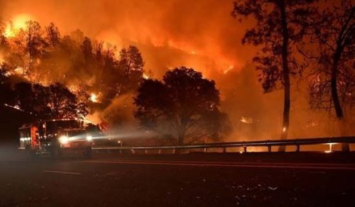Incendio forestal en EEUU se extiende a más de 6.600 hectáreas