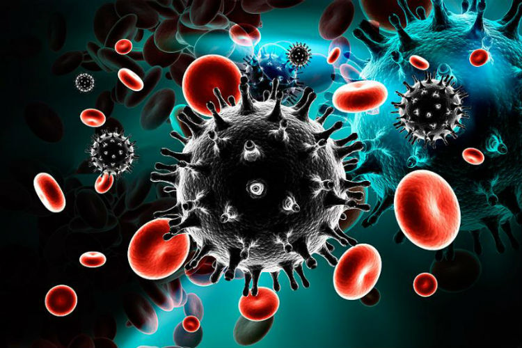 Descubren un «súper» receptor que mata células infectadas por VIH