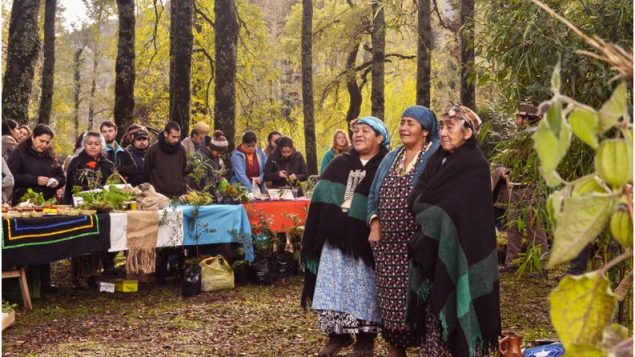 Dar a los indígenas la protección de los bosques ayudaría a frenar la deforestación