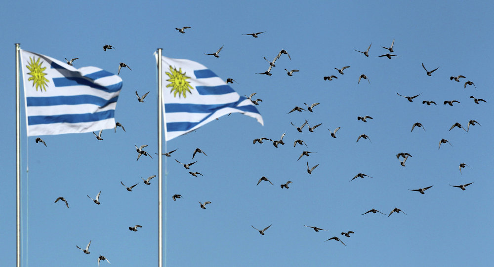 Uruguay busca captar más inversión extranjera en Buenos Aires