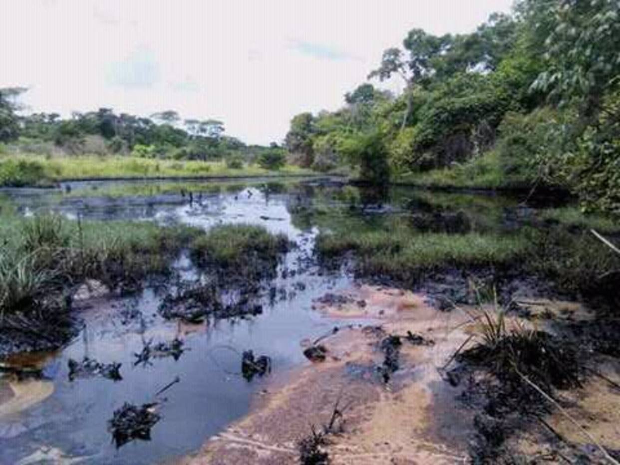 Cuatro personas detenidas por derrame petrolero en río Guarapiche de Venezuela