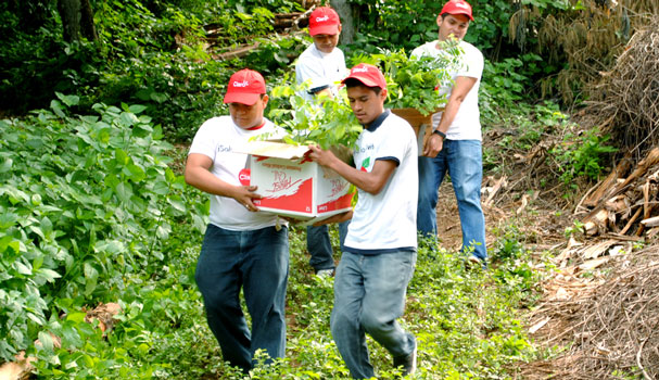 Nicaragua prepara Cruzada Nacional de Reforestación 2018