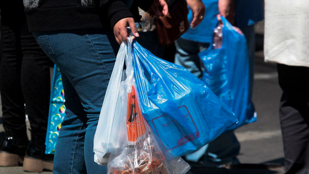 Tribunal Constitucional rechaza requerimiento que buscaba frenar prohibición de bolsas plásticas en el comercio