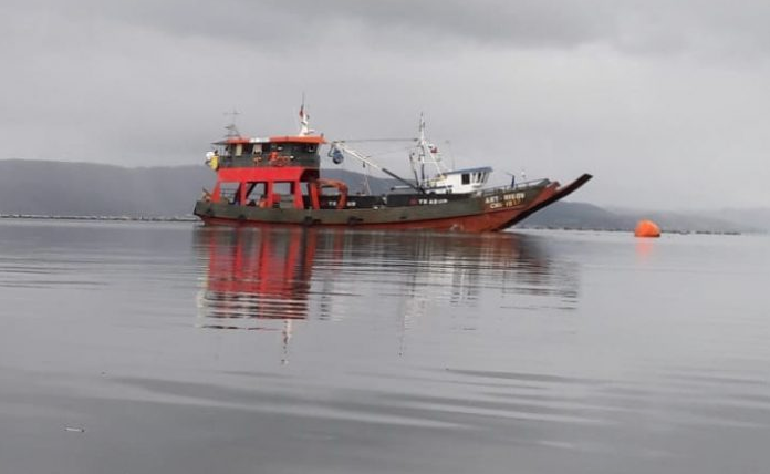 Greenpeace exige respuesta “rápida y severa” por muerte de dos trabajadores tras hundimiento de barcaza en Chiloé
