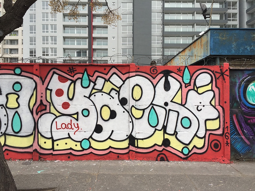 “El arte callejero no es delito”: inician ofensiva comunicacional contra «Ley antigraffitis»