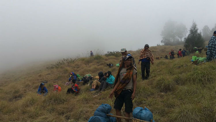 Más de 500 senderistas quedaron atrapados en una montaña tras sismo en Indonesia