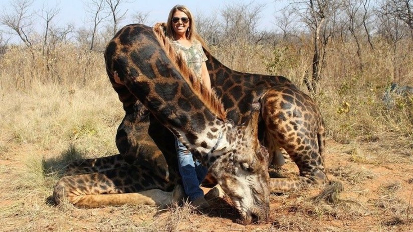 Cazadora estadounidense se toma fotos con la jirafa que asesinó