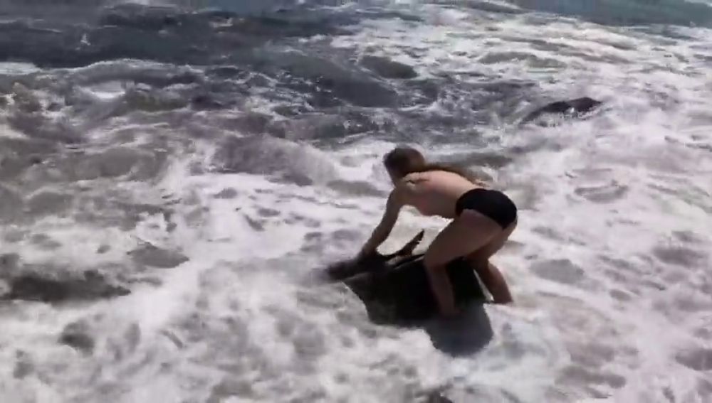 (+Vídeo) Joven mujer rescata a tiburón varado en una playa de EE. UU. y se hace viral