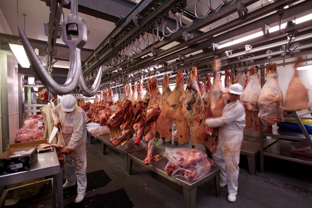Corporaciones de la carne y productos lácteos están calentando el planeta