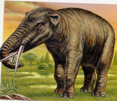 Se halló un cráneo «casi intacto» de un mastodonte de los Pirineos