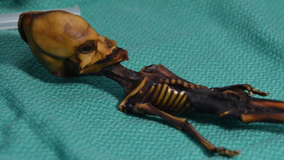 La momia «Alien» enfrenta a investigadores de EE. UU. y de Nueva Zelanda
