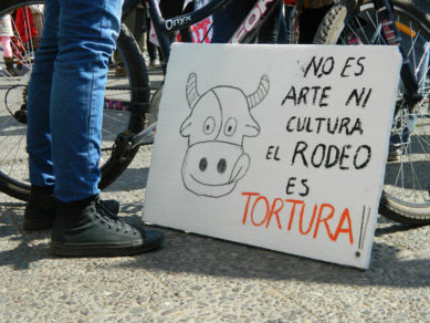 Campaña contra el rodeo de Animal Libre consigue llegar a principales estaciones de Metro