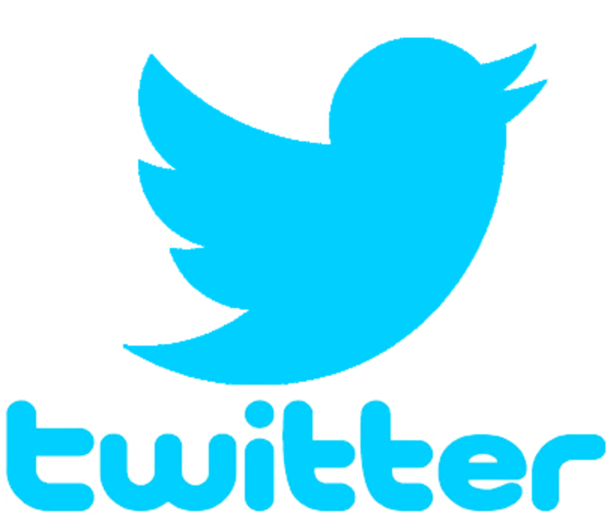 Twitter quiere seguir saneando su red aunque pierda usuarios