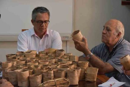 Bolsas de yuca, lino, caña de azúcar alternativa 100% ecológica (+Video)