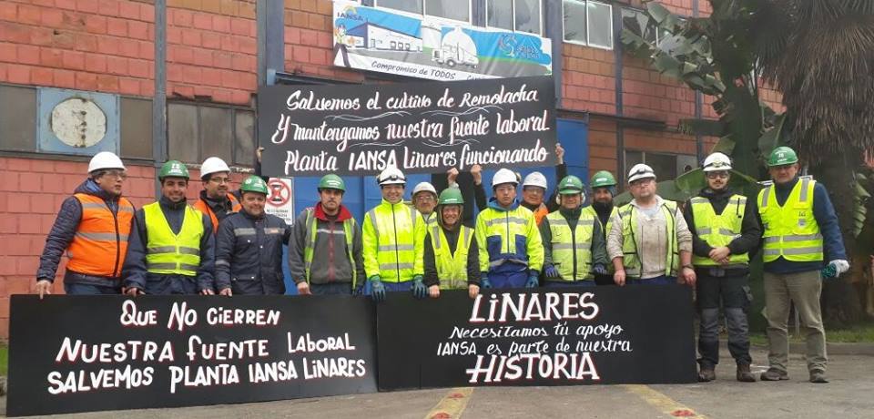 Cierre de Iansa Linares: Trabajadores desmienten versión del Ministro del Trabajo