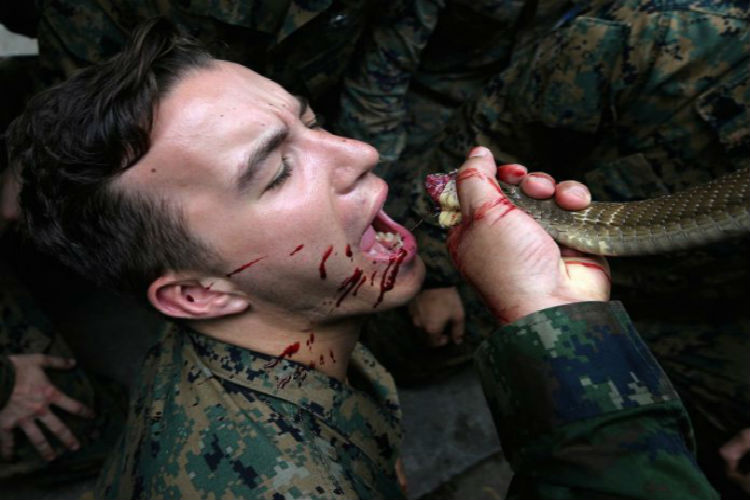 (+Fotos) Marines estadounidenses beben sangre de cobra en Tailandia