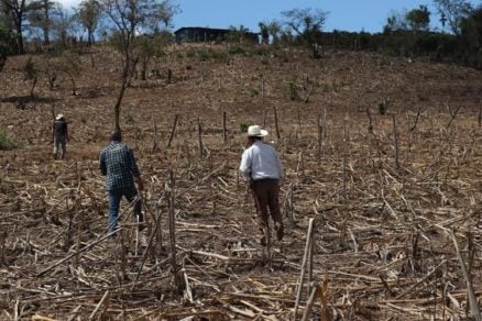 El largo verano de Guatemala significa sed y cosechas perdidas
