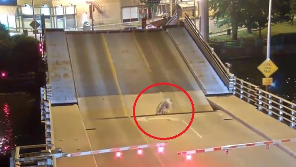 (+Video) Una mujer casi muere aplastada por un puente al ignorar alertas